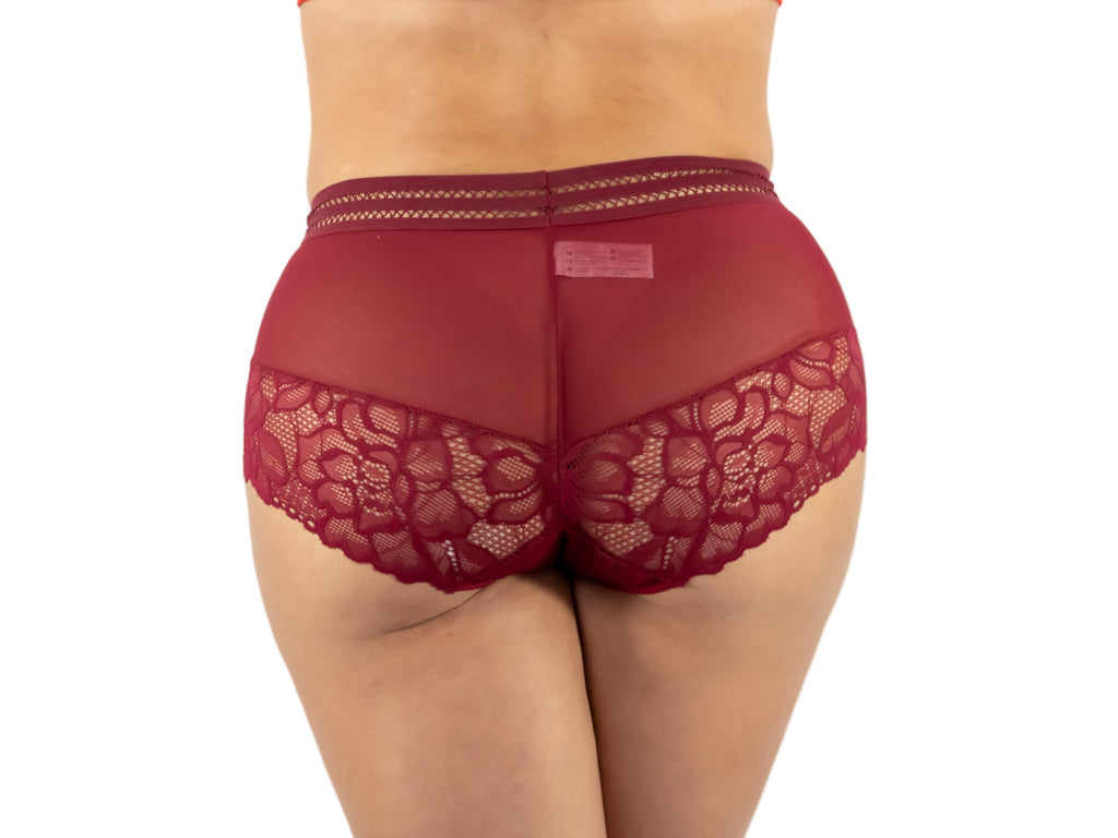 Red lace underwear on a white background
